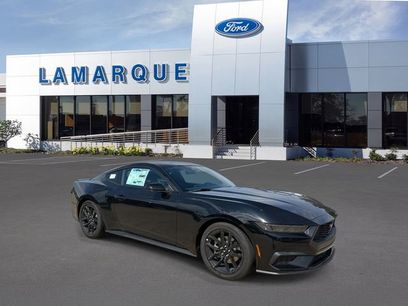 New 2025 Ford Mustang Coupe w/ Mustang Nite Pony Package