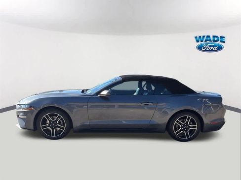 Used 2023 Ford Mustang Premium w/ Equipment Group 201A image 8