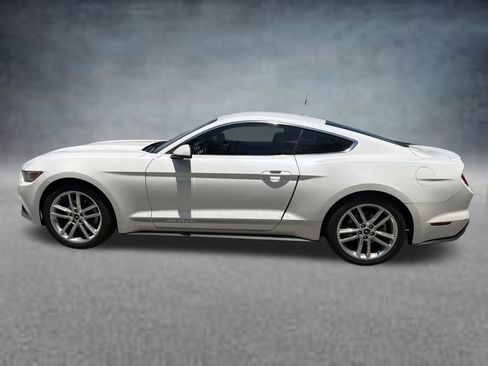 Used 2017 Ford Mustang Premium w/ Equipment Group 201A RWD image 8