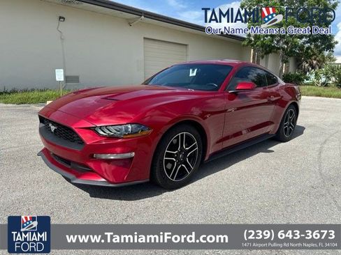 Used 2020 Ford Mustang Coupe w/ Equipment Group 101A RWD image 1