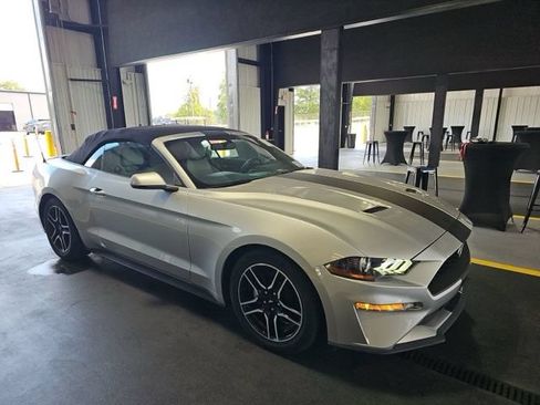 Used 2019 Ford Mustang Premium RWD image 3