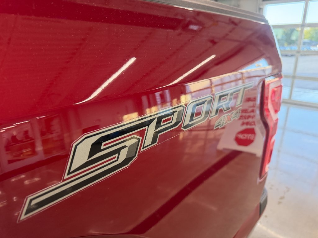 Certified 2019 Ford F150 XLT w/ Equipment Group 302A Luxury AWD/4WD image 10