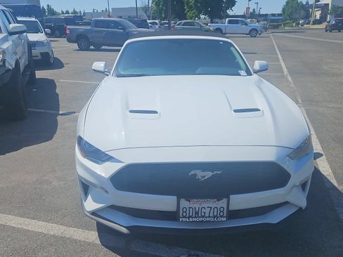 Used 2018 Ford Mustang Premium w/ Equipment Group 201A RWD image 4