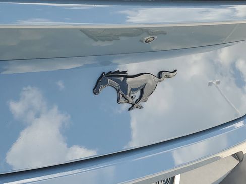 Used 2025 Ford Mustang Premium w/ Mustang Nite Pony Package RWD image 10