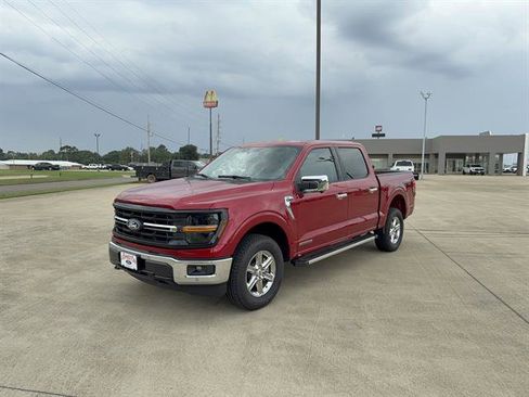 Used 2024 Ford F150 XLT w/ Equipment Group 302A MID image 1