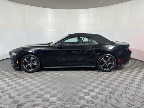 Used 2025 Ford Mustang Premium RWD image 5