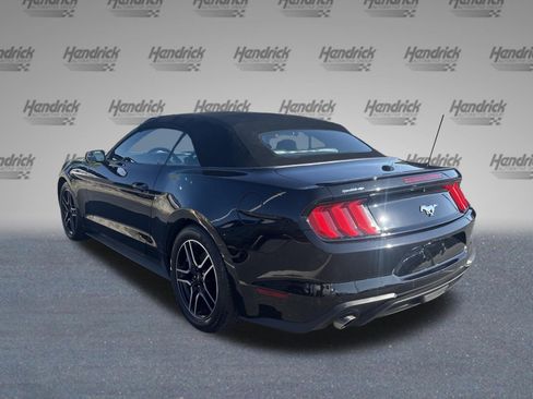 Used 2019 Ford Mustang Premium RWD image 10