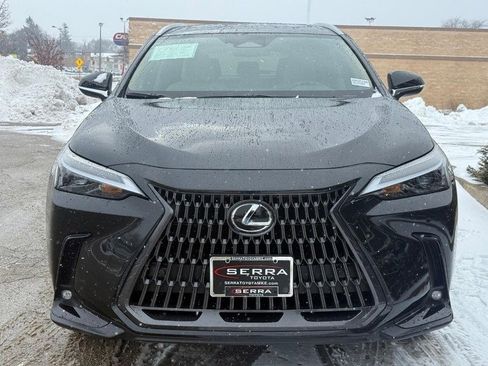 Used 2025 Lexus NX 350h AWD w/ Premium Package image 9