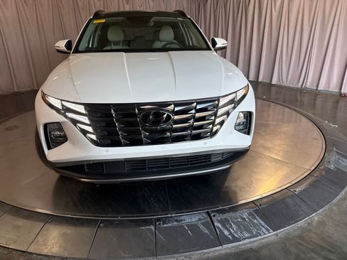 Used 2024 Hyundai Tucson Limited AWD/4WD image 2