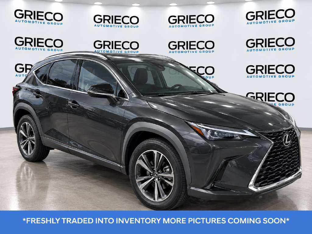 Used 2019 Lexus UX 200 w/ Accessory Package FWD image 1