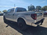 Used 2013 Ford F150 XLT image 5