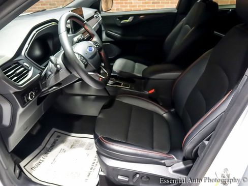 Used 2025 Ford Escape ST-Line Select image 14