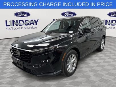 Used 2025 Honda CR-V EX