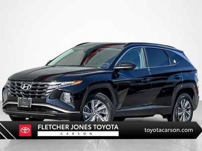 Used 2024 Hyundai Tucson Blue