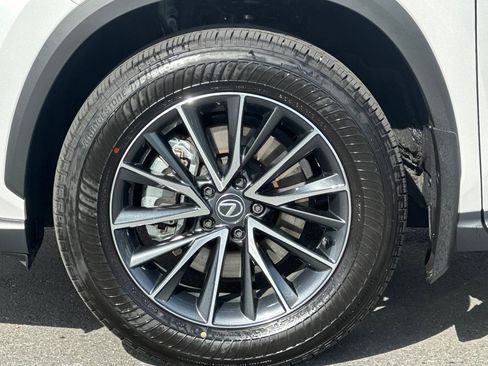 Certified 2025 Lexus NX 350h AWD w/ Cold Area Package image 13