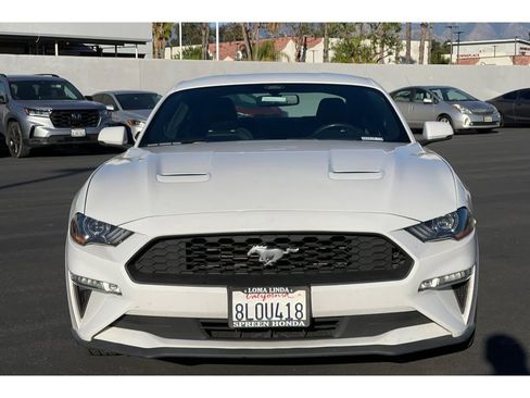 Used 2019 Ford Mustang Premium image 4