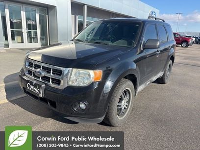 Used 2012 Ford Escape XLT