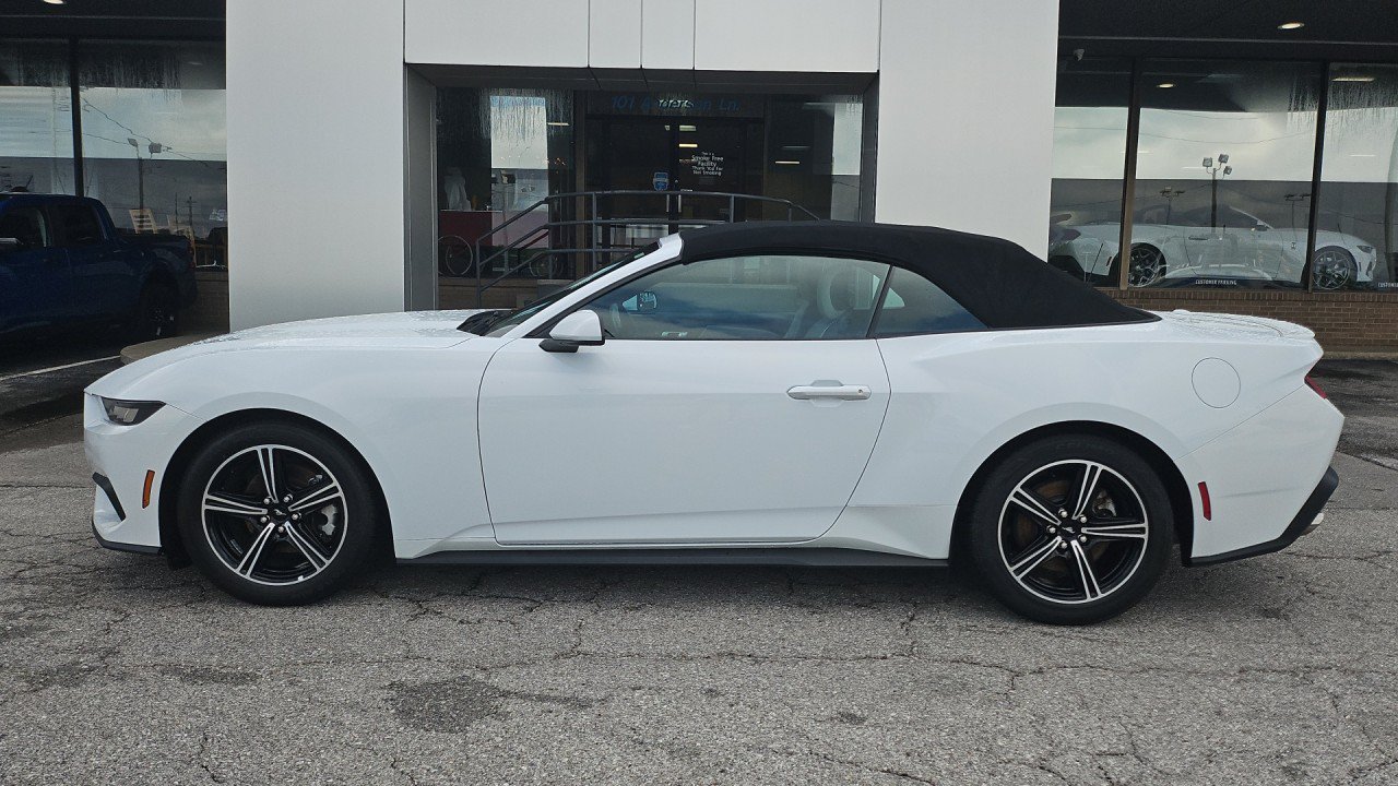 Used 2024 Ford Mustang Premium RWD image 3