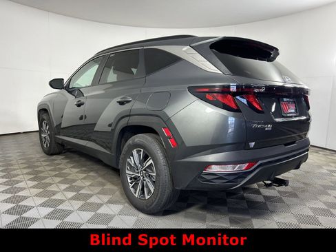 Used 2024 Hyundai Tucson Blue image 4