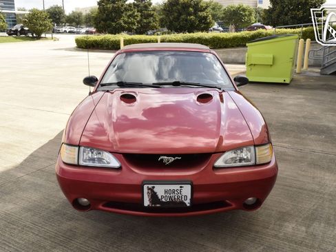 Used 1998 Ford Mustang Cobra RWD image 32