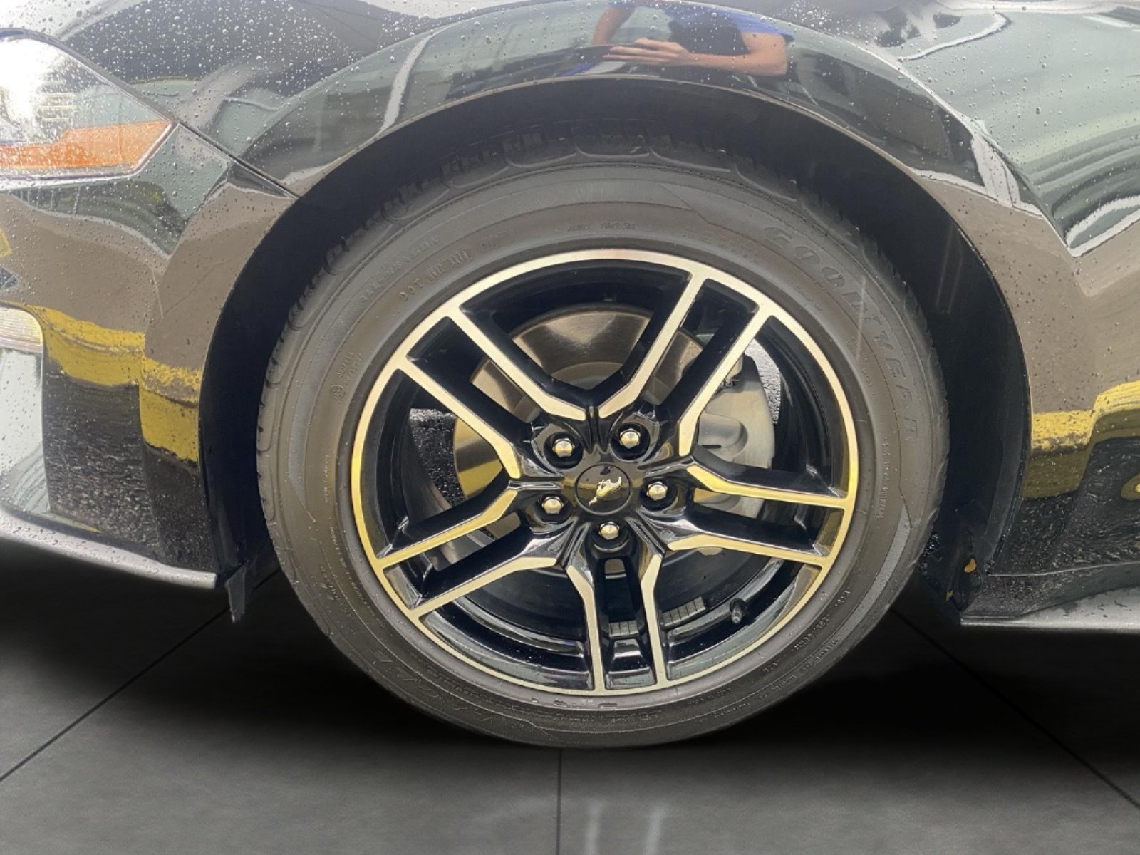 Certified 2021 Ford Mustang Premium RWD image 5