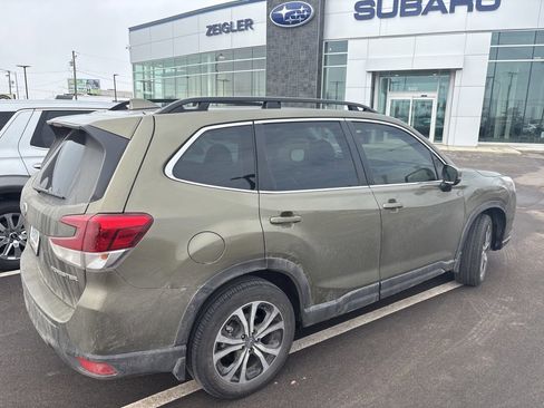 Used 2023 Subaru Forester Limited image 6
