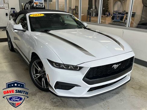 Used 2025 Ford Mustang Premium RWD image 1