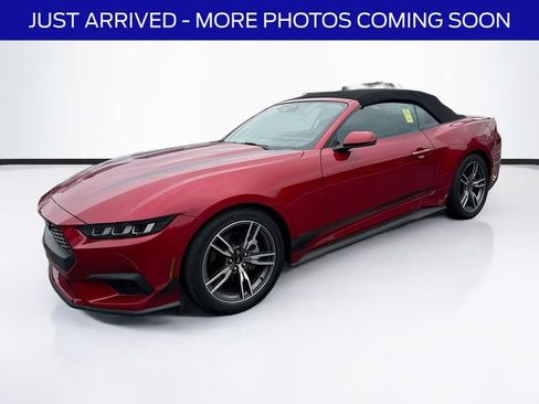 Used 2024 Ford Mustang Premium RWD image 3