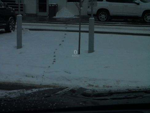 Certified 2023 Cadillac Escalade ESV Sport Platinum image 27