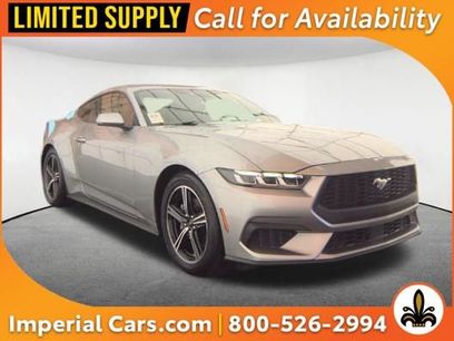 Used 2025 Ford Mustang EcoBoost