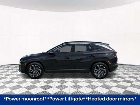 New 2025 Hyundai Tucson Limited image 5