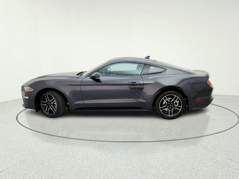 Used 2023 Ford Mustang Premium w/ Equipment Group 201A RWD image 14