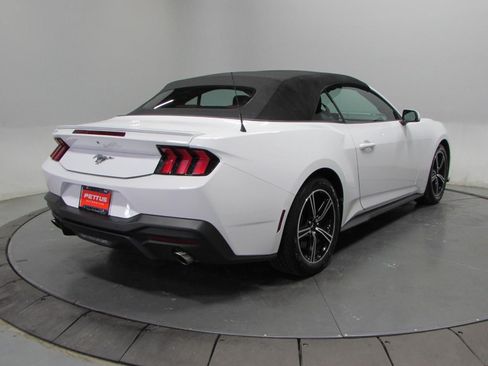 Used 2024 Ford Mustang Premium RWD image 7