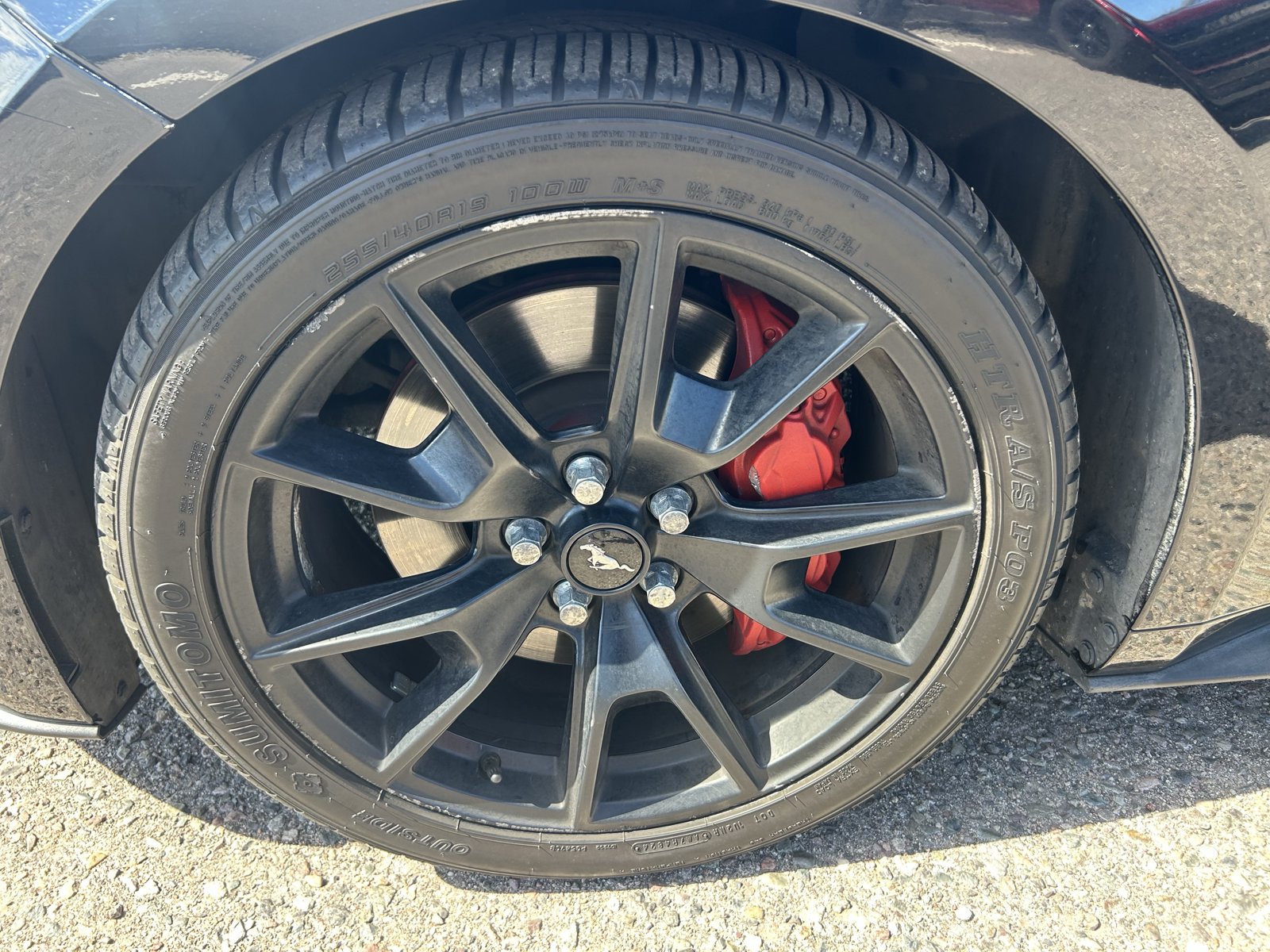 Used 2015 Ford Mustang GT Premium w/ 50 Years Appearance Package RWD image 9