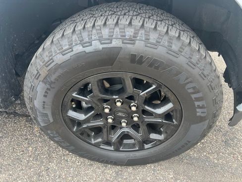 Used 2025 Ford F150 XLT w/ Equipment Group 302A MID AWD/4WD image 17