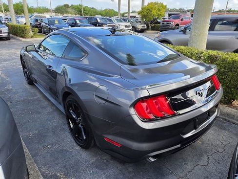 Used 2023 Ford Mustang Premium w/ Mustang Nite Pony Package image 3