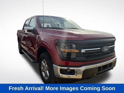Used 2025 Ford F150 XLT w/ Equipment Group 302A MID