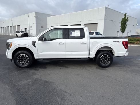 Used 2023 Ford F150 XLT w/ Equipment Group 302A High AWD/4WD image 6