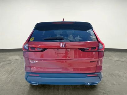 Used 2025 Honda CR-V Sport-L