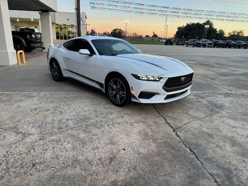 Used 2025 Ford Mustang Coupe w/ Wheel & Stripe Package image 9