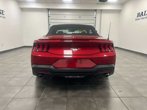 Used 2024 Ford Mustang Premium RWD image 6
