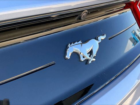 Used 2022 Ford Mustang Premium w/ Equipment Group 201A image 29