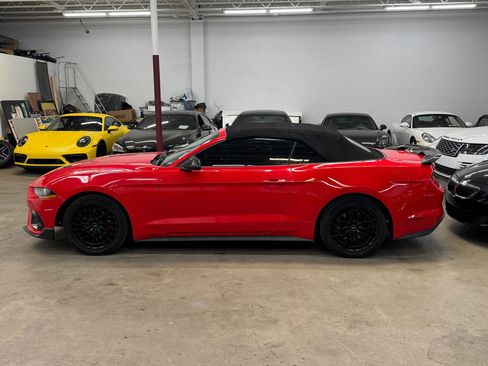 Used 2020 Ford Mustang Premium RWD image 4