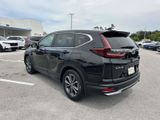 Used 2020 Honda CR-V EX-L image 4
