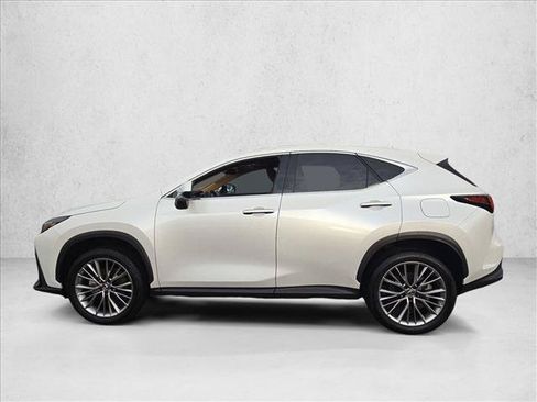 Used 2025 Lexus NX 350 AWD w/ Cold Area Package image 9