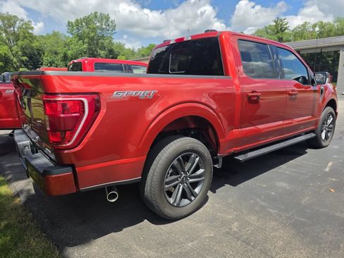 Used 2023 Ford F150 XLT w/ Equipment Group 302A High AWD/4WD image 6