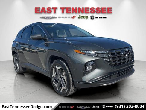 Used 2023 Hyundai Tucson Limited AWD/4WD image 1