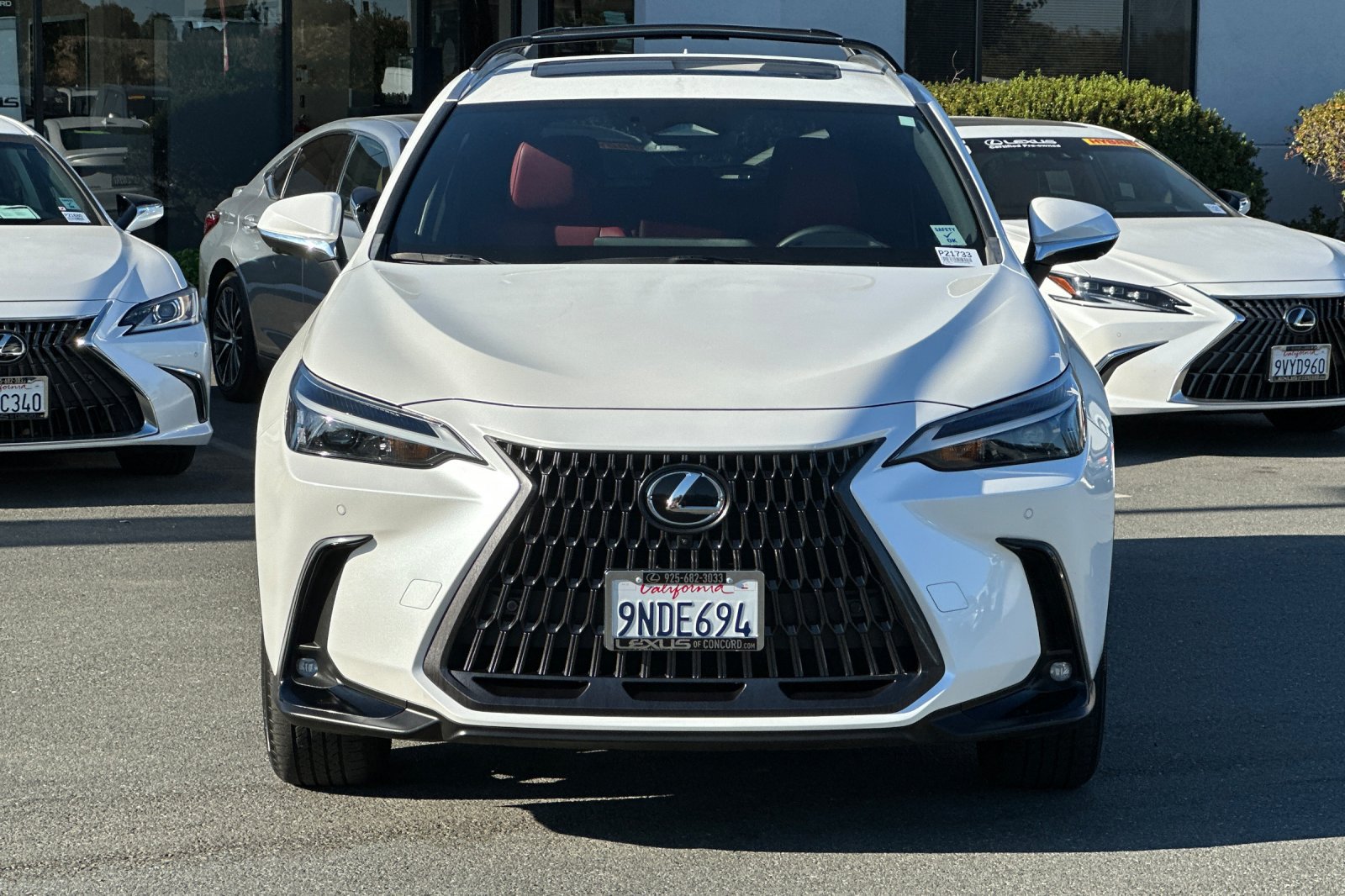 Certified 2025 Lexus NX 350h AWD w/ Cold Area Package image 6