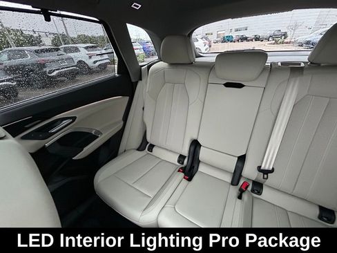 Used 2025 Audi Q5 Premium Plus w/ Premium Plus AWD/4WD image 13