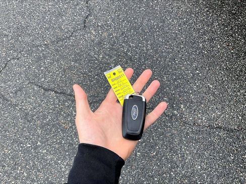 Used 2020 Ford F150 Platinum w/ Equipment Group 701A Luxury image 12